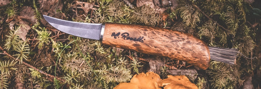 Mushroom foraging guide